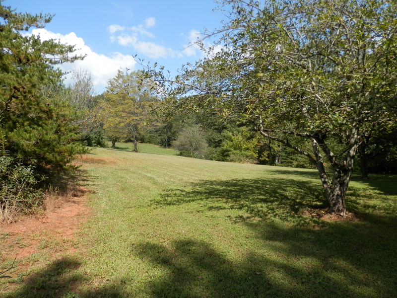 Blue Ridge Real Estate Offering home, land and log cabin sales and