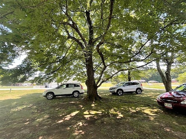 Additional Photo